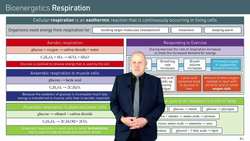 Understanding Cellular Respiration and Metabolism Instructional Video