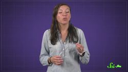 The Stressful Reasons Corals Are Becoming More Colorful Instructional Video