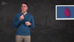 The Evolution of the Heart (A Love Story) Instructional Video