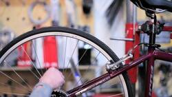 How to Identify Bike Parts Instructional Video