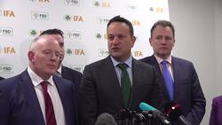 Irish government doesn't expect the number of arriving Ukrainians to reduce News Clip