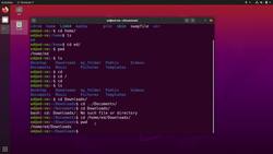 Practical Linux Command Line 2.0 - Using Absolute Versus Relative Paths Instructional Video