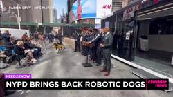 NYPD Brings Back Robotic Dogs After Dystopian Backlash News Clip
