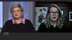 Thousands of hogs and poultry feared dead in aftermath of B.C. flooding News Clip