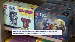 Fairfield celebrates International Lego Day with big events at Bricks & Minifigs Instructional Video