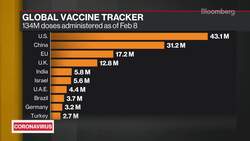WHO Says Animals Likely Virus Source, Rejects Lab Theory News Clip