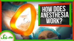 We Finally Know How Anesthesia Works Instructional Video