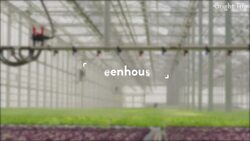 How Iceland Grows So Many Vegetables Instructional Video