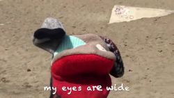 Quiet Side│Sing-along│Kids Songs│AMP'D! Instructional Video