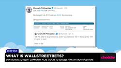 Deep Dive Into the Complex Community of r/WallStreetBets News Clip