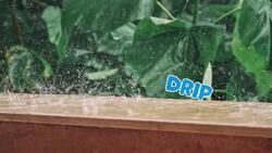 I WONDER - What Is An Onomatopoeia? Instructional Video