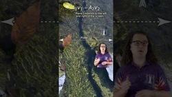 Real-Life Example of Fluid Flow Physics - Leaves in a River Instructional Video