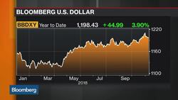 What the Midterm Election Results Mean for Emerging Markets News Clip