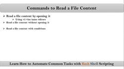 Bash Shell Scripting- Commands to read a file content Instructional Video