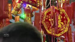 Lunar New Year celebrations begin in Calgary News Clip