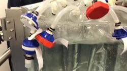 Coronavirus Vaccine - Cobra Biologics Labs News Clip