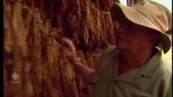 ARCHIVE: Don Murray reports from Zimbabwe in April 2000 News Clip