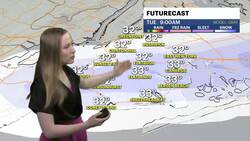 Chilly temps with bright skies and gusty winds for Brooklyn News Clip