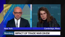 Harvard's Reinhart Issues an EM Warning for 2019 News Clip