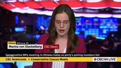 Conservative MPs meeting in Ottawa today ahead of Flag Day rally News Clip