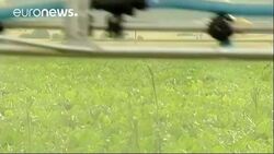 EU delays weed-killer vote News Clip