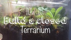 How to Build a Closed Terrarium Instructional Video