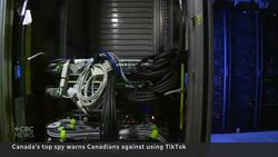 TikTok is a threat to Canadians' data security, CSIS chief warns News Clip
