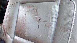 CLEAN : Relatives arrive at crime scene of Mexico Mormon massacre News Clip