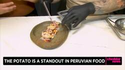 On The Scene at Artesano Peruvian Cuisine Restaurant News Clip