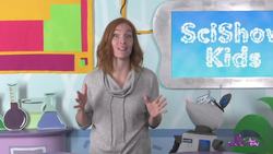 Why do Planes Leave White Streaks in the Sky? Instructional Video