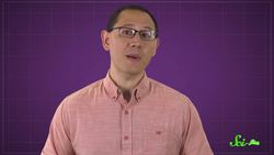 Carnivorous Sponges — So That's a Thing Instructional Video