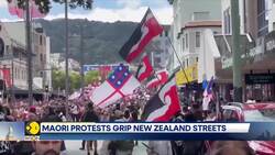 New Zealand: Around 35,000 Maori Protesters Gathered in Wellington News Clip