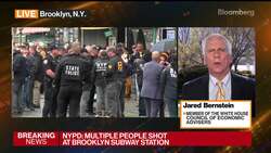 White House Is Not Trying to Control Prices: CEA's Bernstein News Clip