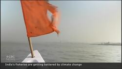 India’s fisheries are getting battered by climate change News Clip