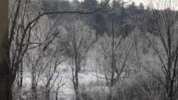 Phase Changes Instructional Video