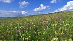 Drone Captures Alpine Glory as Winter Melts Away Stock Footage
