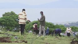 CLEAN : Ethiopian PM takes part in massive tree-planting campaign News Clip