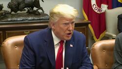 Trump meets with Airline CEOs about virus News Clip