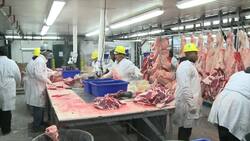 Financial and Interpersonal Skills Needed to Grow a Startup Instructional Video