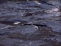 SUBBOTNIK DAYS IN MOSCOW, USSR, 1978 Stock Footage