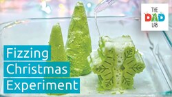 Science Experiment for Preschoolers: Christmas Ice Instructional Video