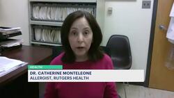 Experts: Seasonal allegories expected to be worse than average this year News Clip