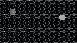 Motion white hexagon abstract background Stock Footage
