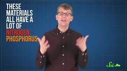 The World's Bird Poop Obsession Instructional Video