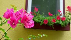 I WONDER - How Do We See Colours? Instructional Video