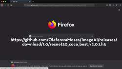 Python for Everybody: The Ultimate Python 3 Bootcamp - Project: Custom Machine Learning Model Instructional Video