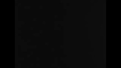 Bulls pull small carts in race in Oberhummel, a borough of Langenbach, Bavaria News Clip