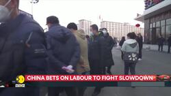 China offers hiring subsidies for youth aged 16–24 News Clip