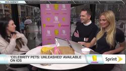 Loni Edwards Dog Agency News Clip