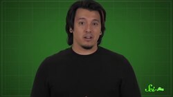 How AI Can Save Lives | SciShow Compilation Instructional Video